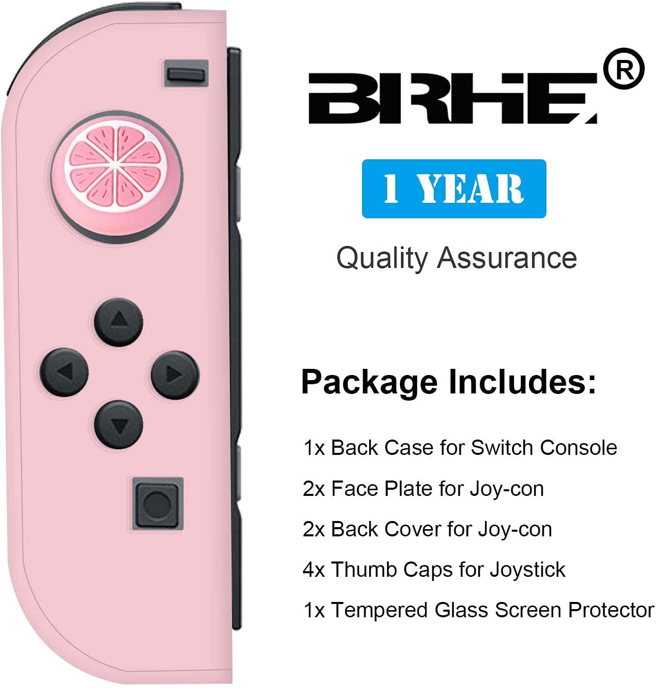 Nintendo Switch Protector Case